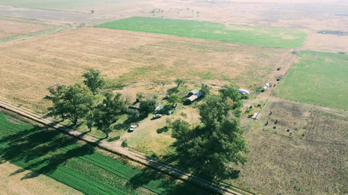 Campo En Estacion Diaz