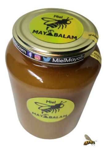 Imagen 3 de 5 de Miel Mantequilla De La Selva Maya 1kg