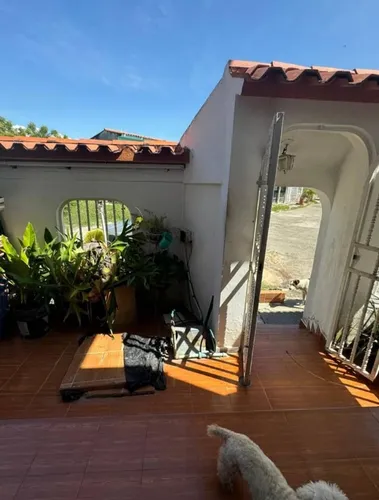 Casa En Flor Amarillo C-15188