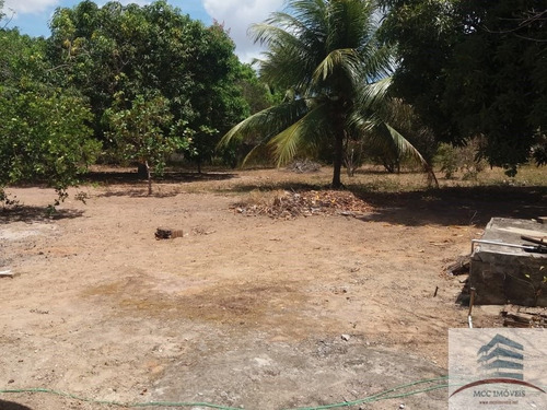 Imagem 24 de 28 de Granja A Venda Em Massaranduba, Ceará Mirim