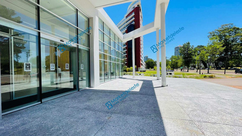 Ocean Drive Country - 1 Dorm