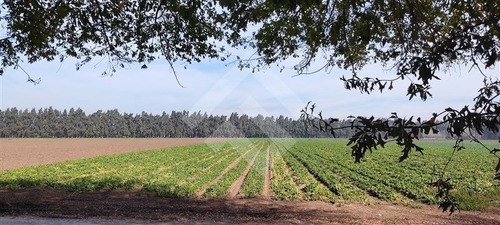 Imagen 3 de 3 de Sitio En Venta En Colina