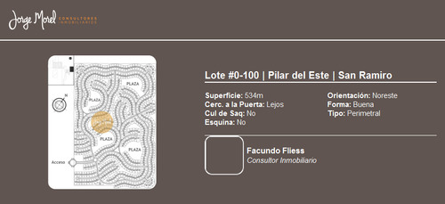 Lote Perimetral #0-100 - Pilar Del Este - San Ramiro - 534m2 #id 14107