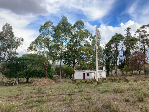 Vende Campo En Chamamé Florida Lavalleja