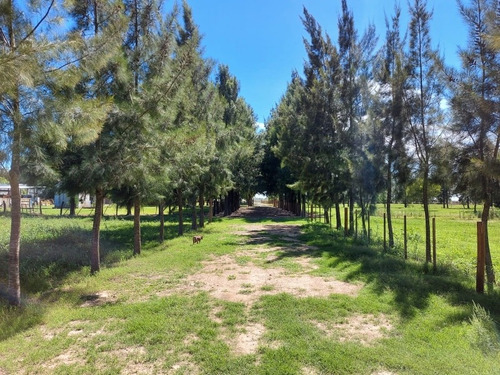 Terrenos Cañuelas
