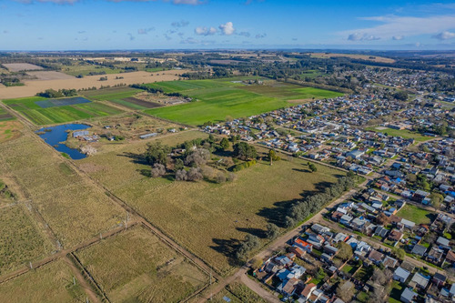 Venta - Chacra De 7 Hectareas - Batan