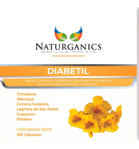Diabetil (ayuda A Controlar La Diabetes) 100 Cápsulas
