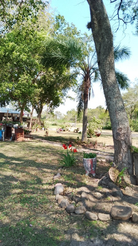 Quinta