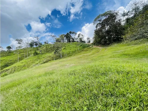 Se Vende Finca De 7 Hectáreas En San Roque, Antioquia