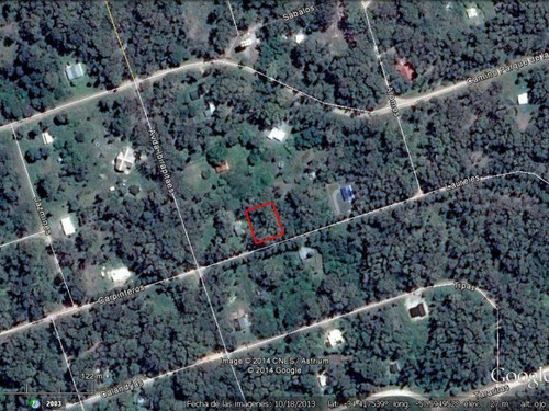 Terrenos O Lotes Venta Colonia