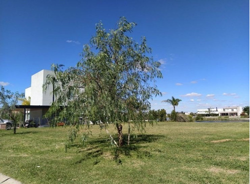 Imagen 4 de 12 de Lote En Venta En San Matias, Escobar, G.b.a. Zona Norte