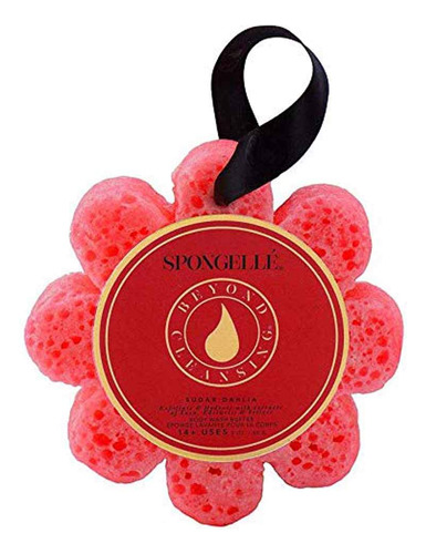 Spongelle - Tampon Infundido Para Gel Corporal - Sugar Dhali