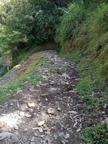 Finca Via Juntas - Ibagué
