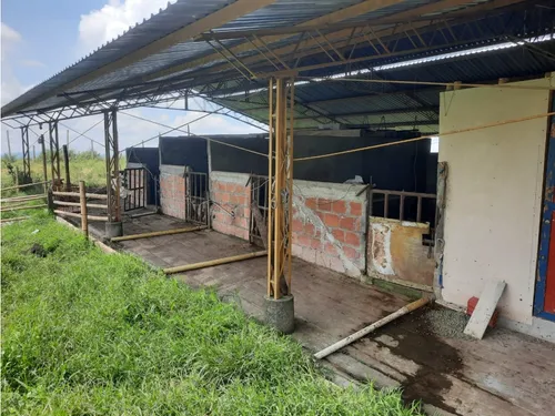 Venta Finca Ganadera Filandia Via Quimbaya - 41 Cuadras