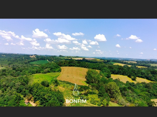 Imagem 18 de 19 de Chácara Fazenda Sítio À Venda Por R$ 3.700.000,00 No Bairro Zona Rural - Contenda / Pr - Te0262