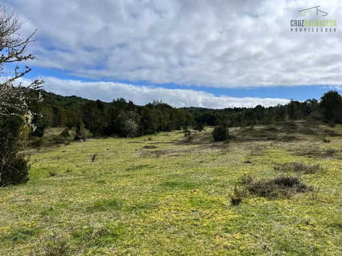 Campo En Venta En Quemchi