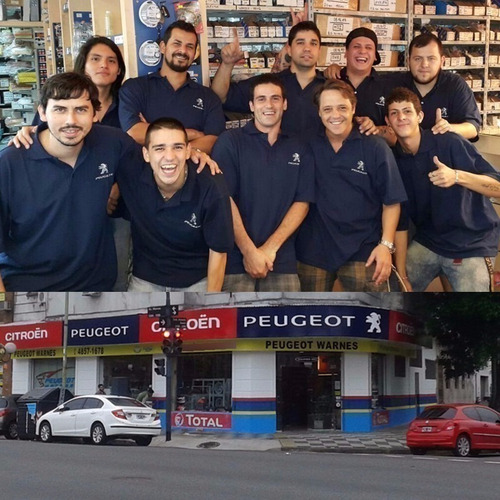 Luneta Trasera Original Peugeot 306 Break Año 1998 Al 2001