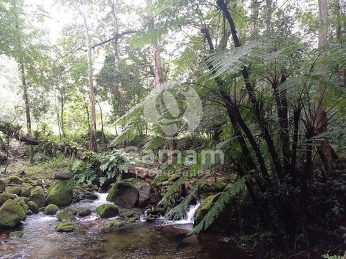 Terreno En Venta En El Texme Con Centro Ecoturistico Operativo