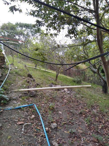 Imagen 11 de 11 de Km// Granja Con Galpón En Peribeca Sector El Ceibal
