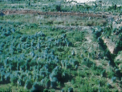 Imagem 2 de 9 de Fazenda De 2.400,99 Alqueires Goianos (usina De Álcool Desativada) - Arraias-to - Fa00002 - 67615479