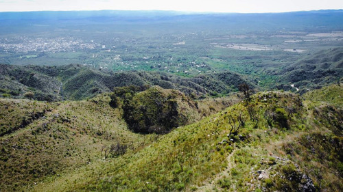 Imagen 2 de 28 de Se Venden 148 Ha De Terreno En Cerro Pan De Azúcar