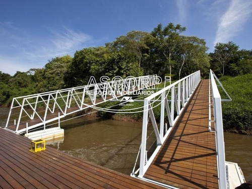 Imagem 14 de 16 de Excelente Terreno Plano No Terra De Ártemis.(código Te00449) - Te00449 - 71102727