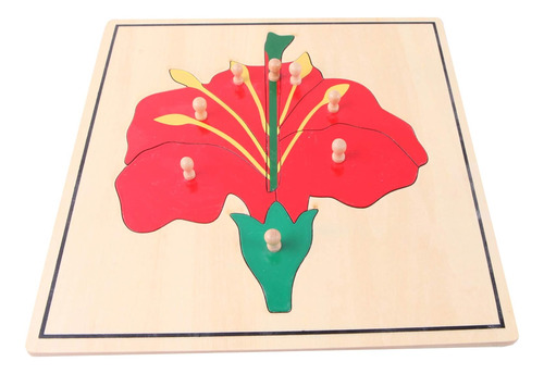 Adena Montessori Materials Botany Gabinete De Rompecabezas (