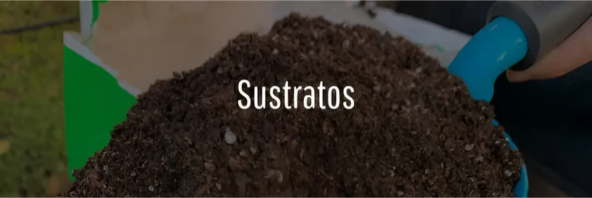 ¡Aprovechá el envío agregando más de nuestros productos a tu carrito!