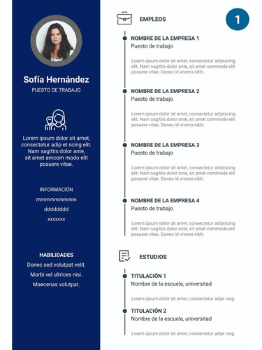 Armado Cv | Curriculum Vitae Personalizado En 24 Horas