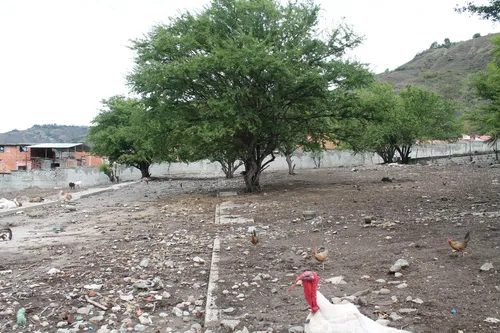 Terreno En Venta. Ejido, Merida.