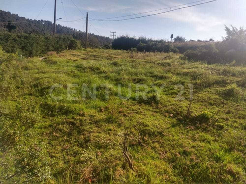 Imagen 12 de 16 de Terreno En Venta En El Pueblo Mágico De Villa Del Carbón