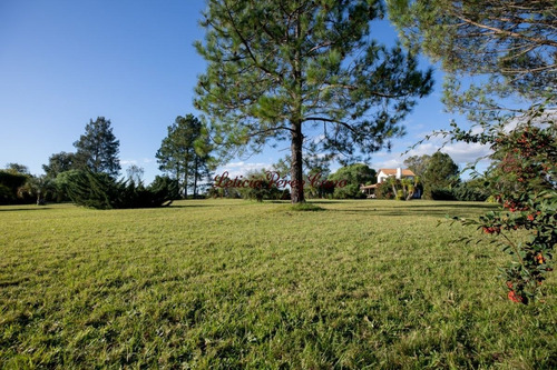 Imagen 12 de 22 de Venta Chacra En San Carlos 2 Has , Abra De Perdomo, Los Ceibos