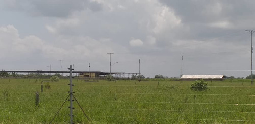 Imagen 4 de 13 de Finca En Venta El Tejero