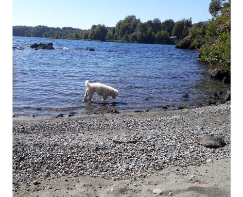 Puerto Varas / Ensenada :parcela Con Casa Y Acceso A Lago