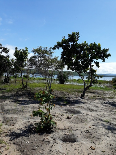 Imagem 10 de 11 de Vende/troca Chácara 13x77 Beira Do Lago/luzimangues