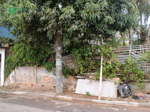 Imagem 1 de 3 de Terreno Residencial À Venda, Vila Siqueira (zona Norte), São Paulo. - Te0073