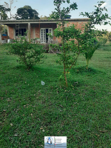 Imagem 7 de 18 de Chácara Em Barão De Guandu, Nova Iguaçu/rj De 20000000m² 1 Quartos À Venda Por R$ 400.000,00 - Ch1839006-s