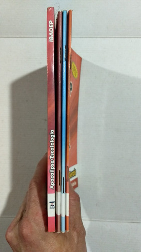 Lote Livros Curso Teologia Ibadep Lote D - L1 (Usado)