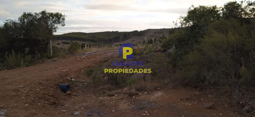 Imagen 1 de 12 de 5 Hectáreas, Entrega 8.000 Y El Saldo En Cuotas De 593 U$s