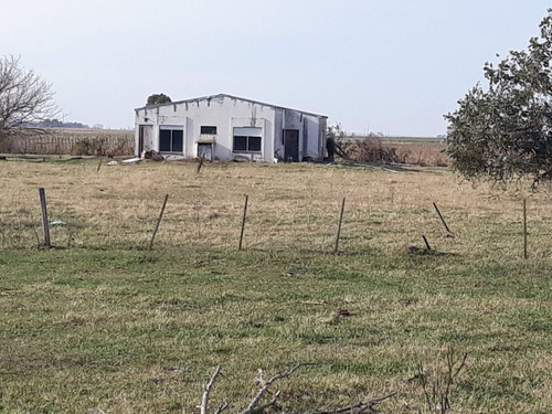 Imagen 3 de 6 de Campo De 870 Hectáreas Mixtas Carlos Tejedor