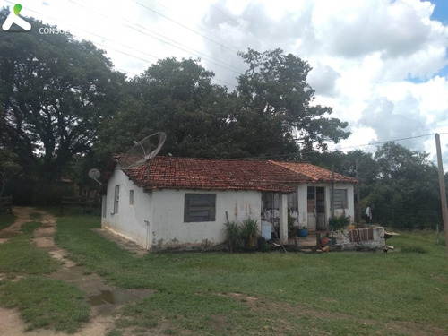 Sítio À Venda Em Porto Feliz - St00138 - 69329856