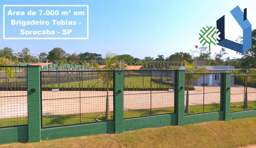 Imagem 6 de 9 de ***estrutura Planejada Para Hotel De Cães***