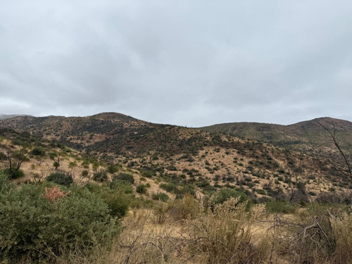 Vende 4 Parcelas De Dos Hectareas En Camino Colliguay Quilp