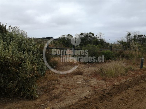 Imagen 11 de 19 de Sitio En Venta En Rocas Del Mar, Los Molles