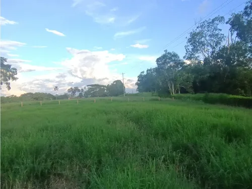 Se Venden Lotes Montenegro Quindío