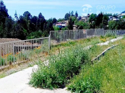 Se Arrienda Departamento De 3 Dormitorios En Reñaca Alto