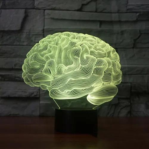 A 0x Decoraciones De Halloween 3d Cerebelo Humano Mod 3622