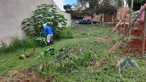 Imagem 5 de 6 de Terreno À Venda, 200 M² Por R$ 100.000,00 - Jardim Colúmbia D - Londrina/pr - Te0475