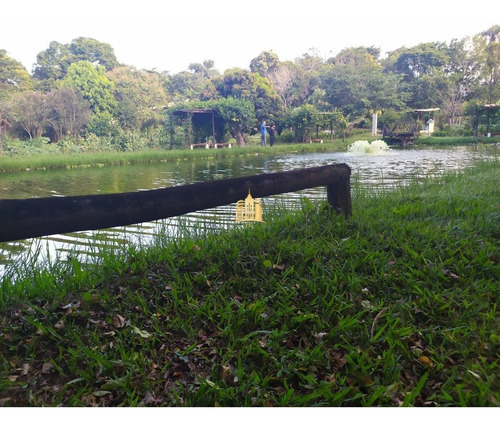Imagem 7 de 30 de Sitio Em Boa Vista - Esmeraldas - St00068 - 34802218