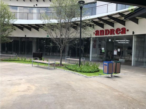 Imagen 3 de 4 de Oficinas En Renta En Raúl Salinas 208.5 Mts2 2nivel En Plaza